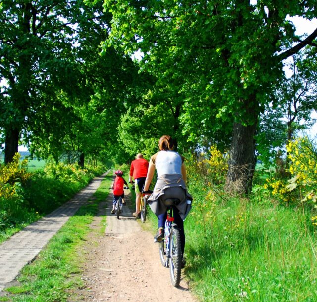 persone in bicicletta